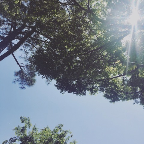 600x600